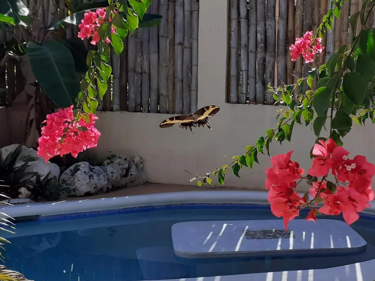 فندق Ltu Garden نيغريل