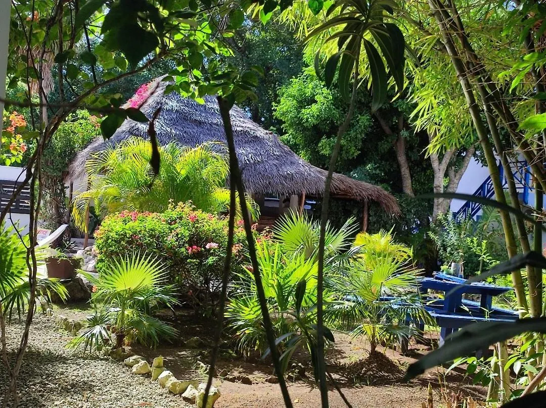 فندق Ltu Garden نيغريل 3*,  جامايكا